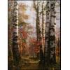 纯手工绘画原创风景油画,白桦树林中的红叶小道